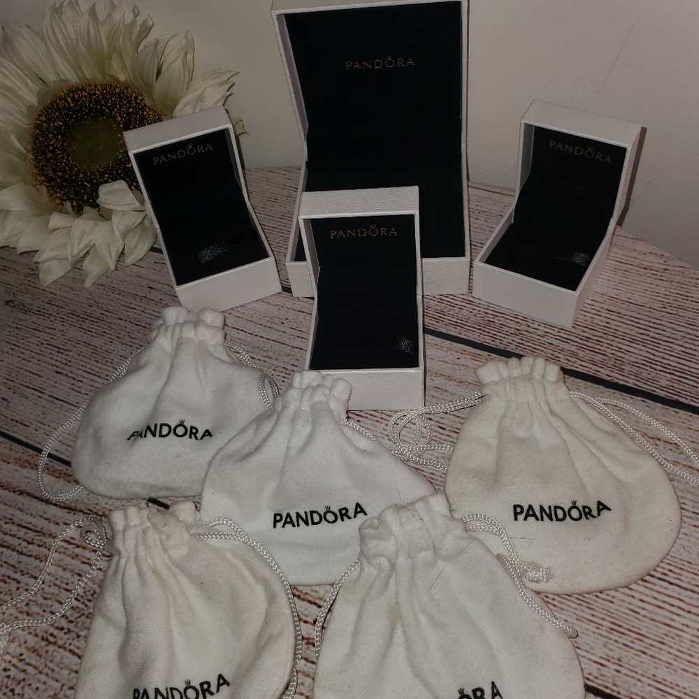 Empty authentic pandora boxes and charm bags